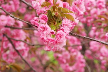 嘉兴嘉善线下个人借款平台一站式服务，轻松解决资金难题