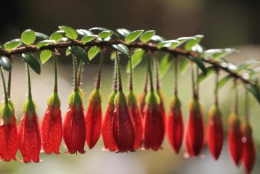 嘉兴嘉善零用贷短借：轻松解决临时资金需求