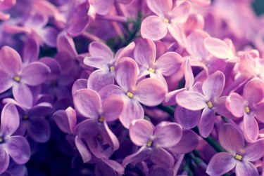 嘉兴嘉善企业急用钱贷款攻略：快速融资解燃眉之急